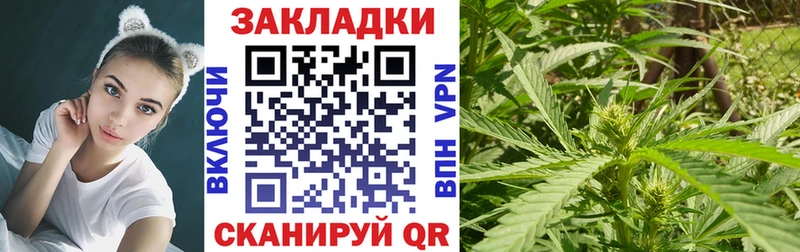 Как найти наркотики Верея СК  Cocaine  Гашиш  МАРИХУАНА 