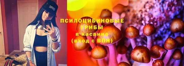 эйфоретик Белокуриха