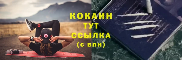 крисы Беломорск