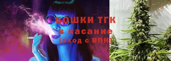 крисы Беломорск